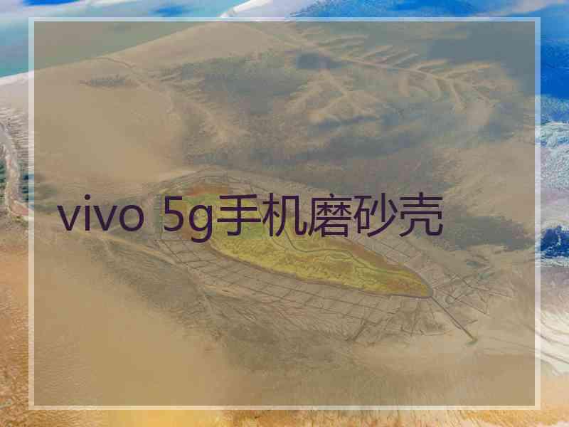 vivo 5g手机磨砂壳