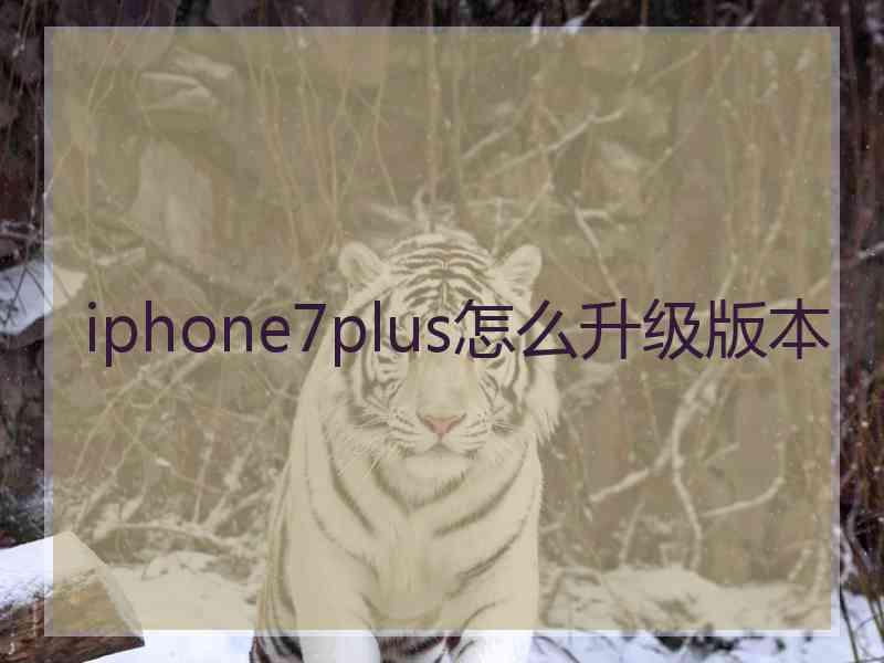 iphone7plus怎么升级版本