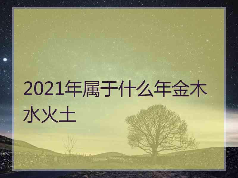 2021年属于什么年金木水火土