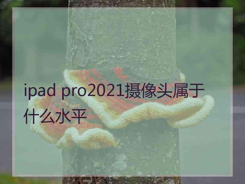 ipad pro2021摄像头属于什么水平