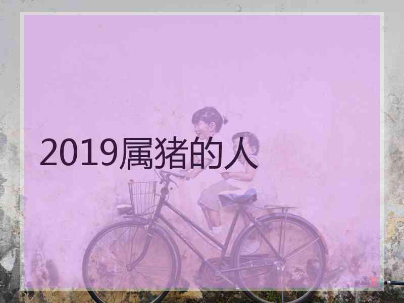 2019属猪的人