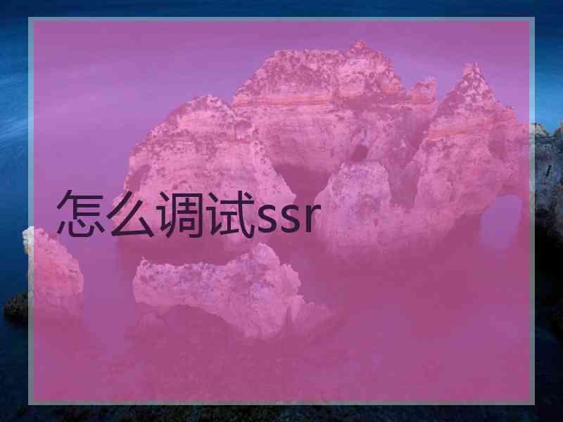 怎么调试ssr