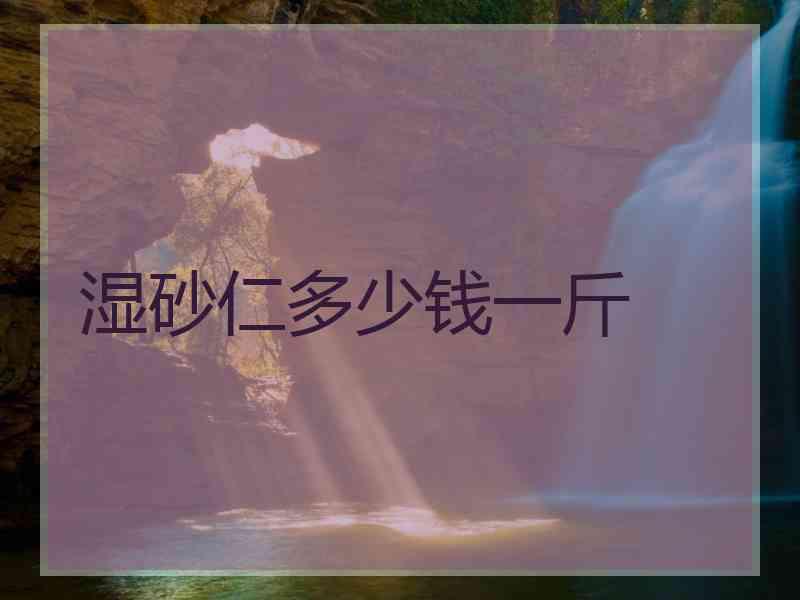 湿砂仁多少钱一斤