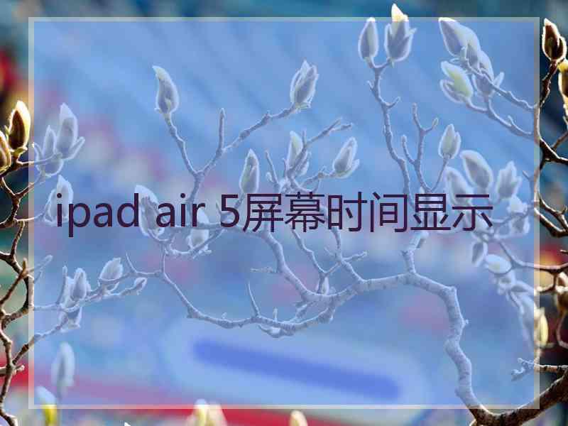 ipad air 5屏幕时间显示