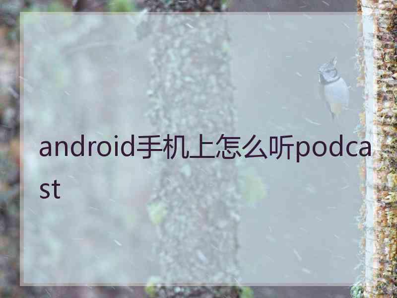 android手机上怎么听podcast