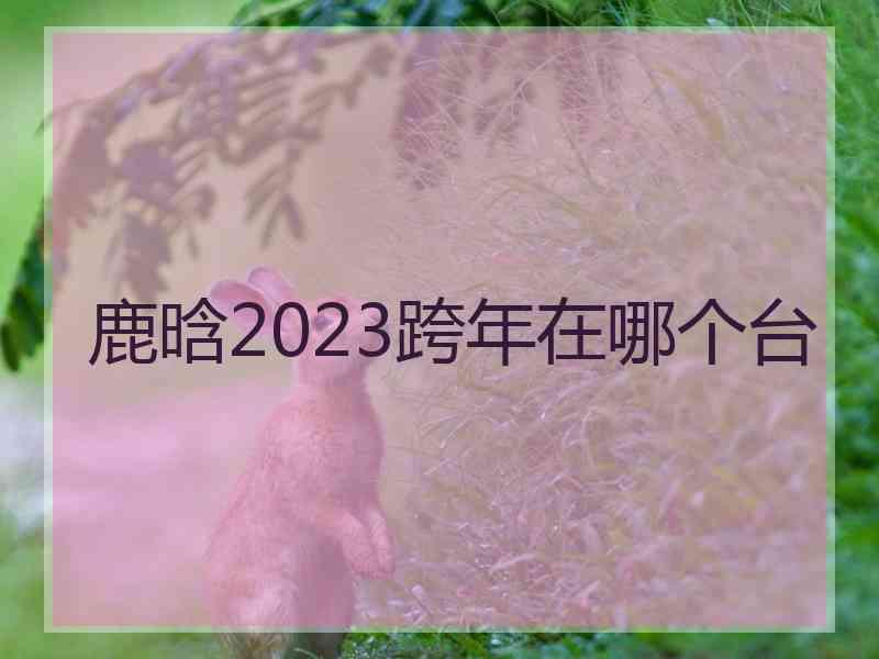 鹿晗2023跨年在哪个台