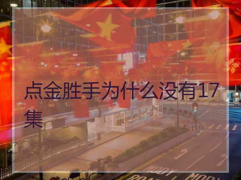 点金胜手为什么没有17集