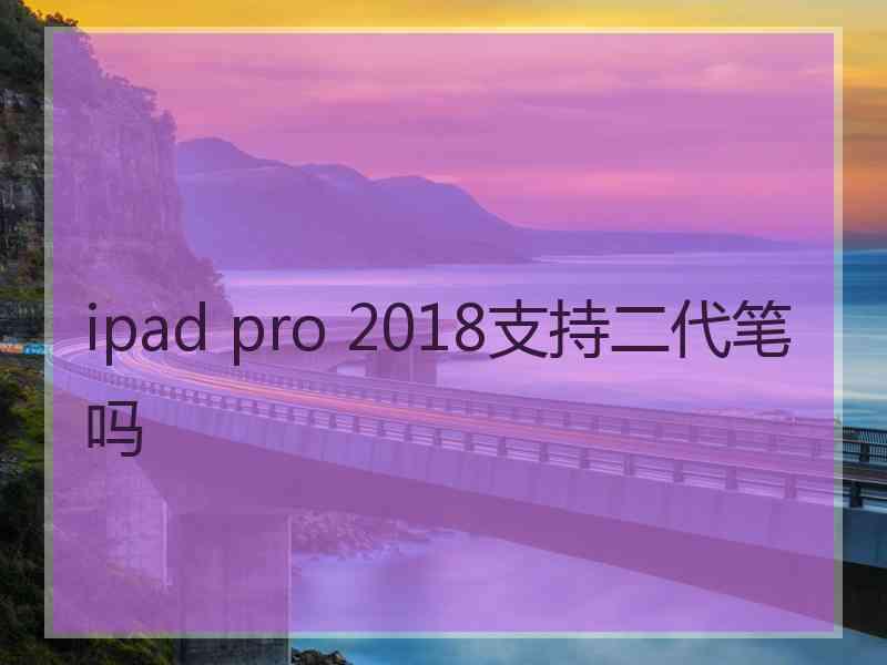 ipad pro 2018支持二代笔吗