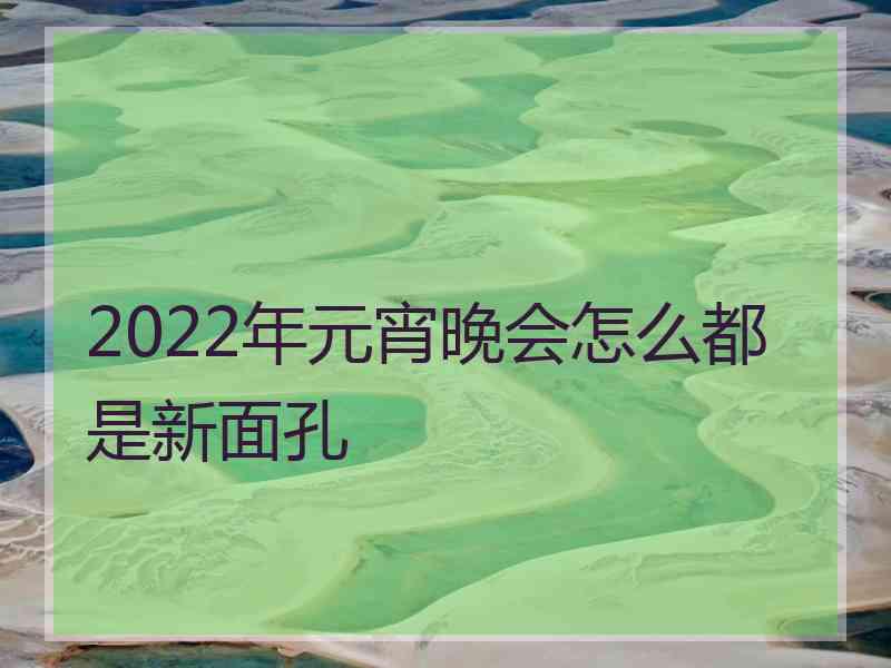 2022年元宵晚会怎么都是新面孔