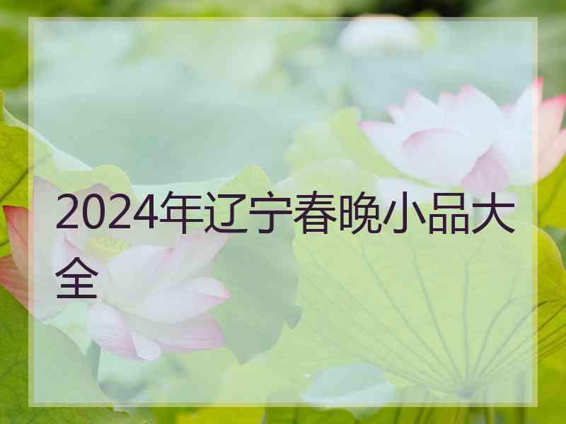 2024年辽宁春晚小品大全