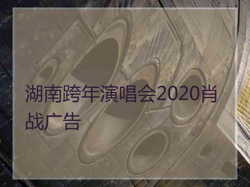 湖南跨年演唱会2020肖战广告