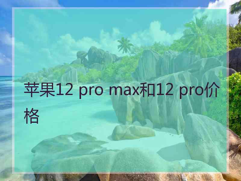 苹果12 pro max和12 pro价格