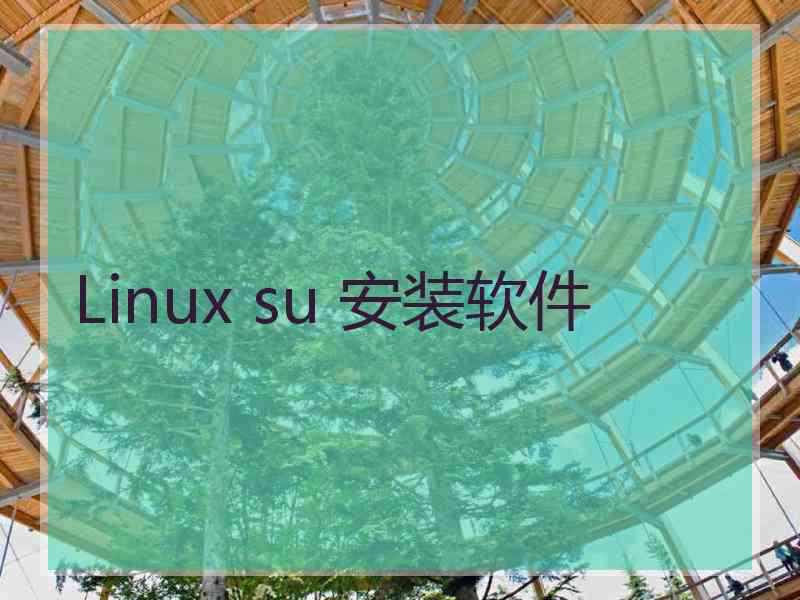 Linux su 安装软件