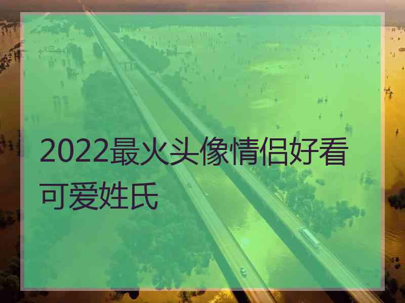 2022最火头像情侣好看可爱姓氏