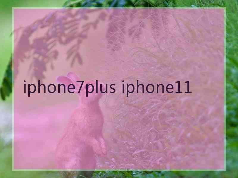 iphone7plus iphone11