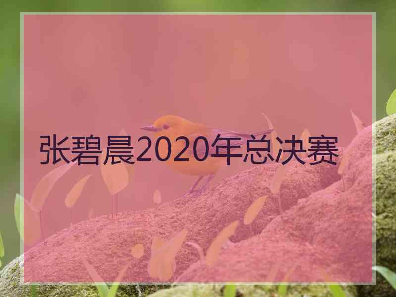 张碧晨2020年总决赛