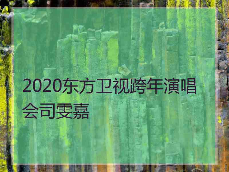 2020东方卫视跨年演唱会司雯嘉