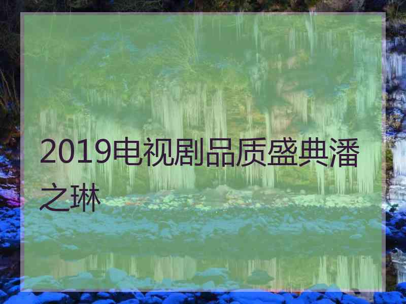 2019电视剧品质盛典潘之琳