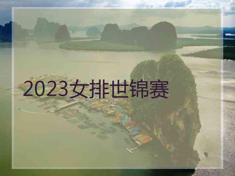 2023女排世锦赛