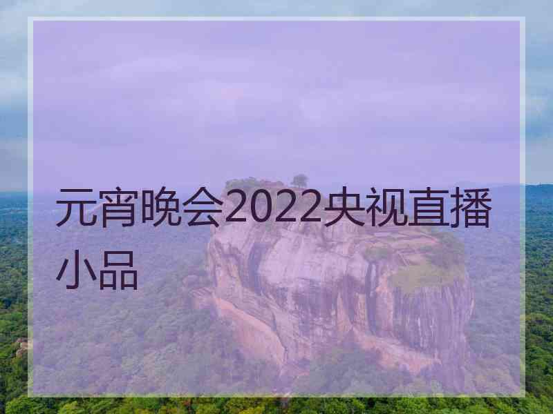 元宵晚会2022央视直播小品