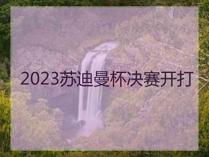 2023苏迪曼杯决赛开打