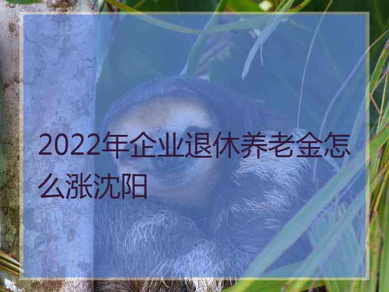 2022年企业退休养老金怎么涨沈阳