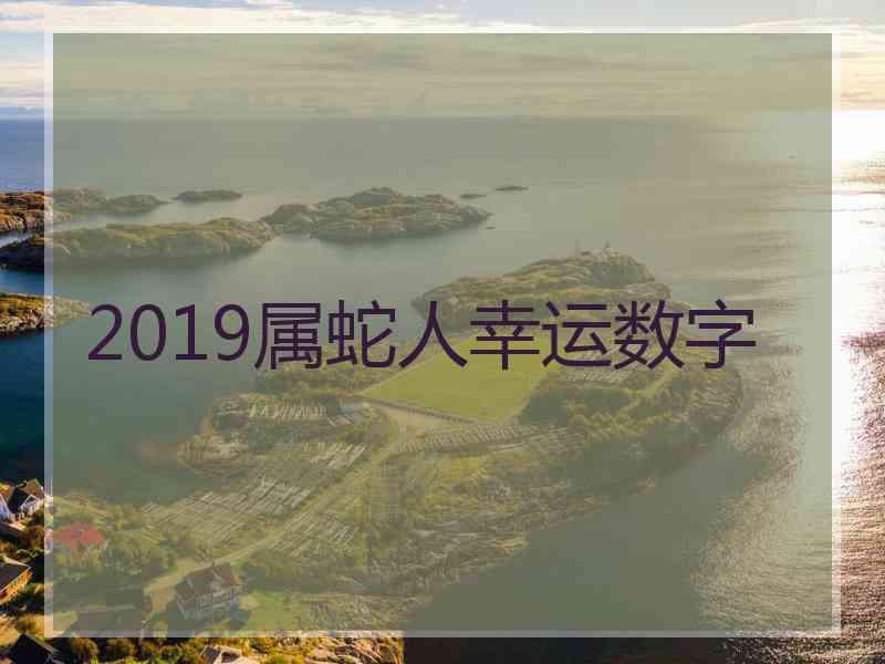 2019属蛇人幸运数字