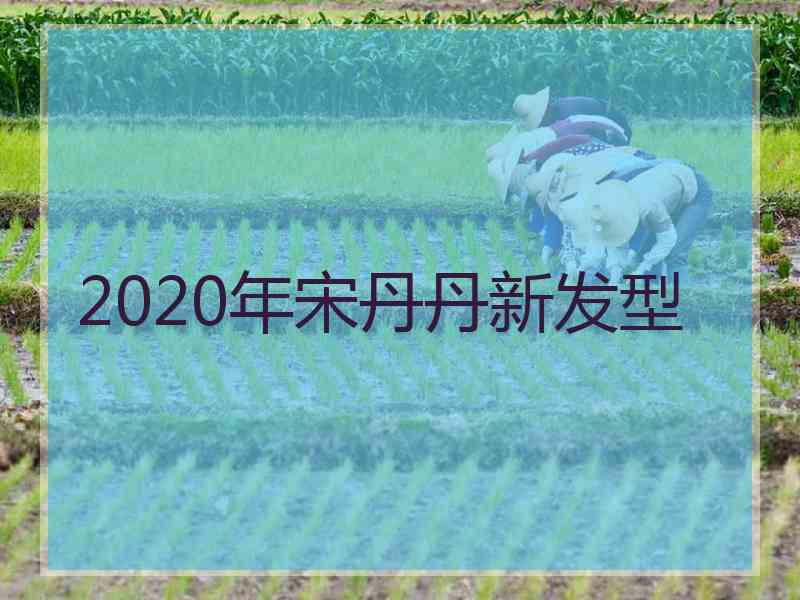 2020年宋丹丹新发型