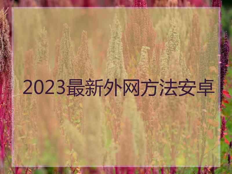 2023最新外网方法安卓