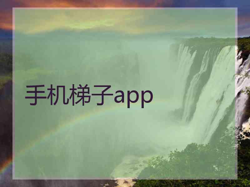 手机梯子app