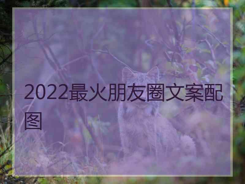 2022最火朋友圈文案配图