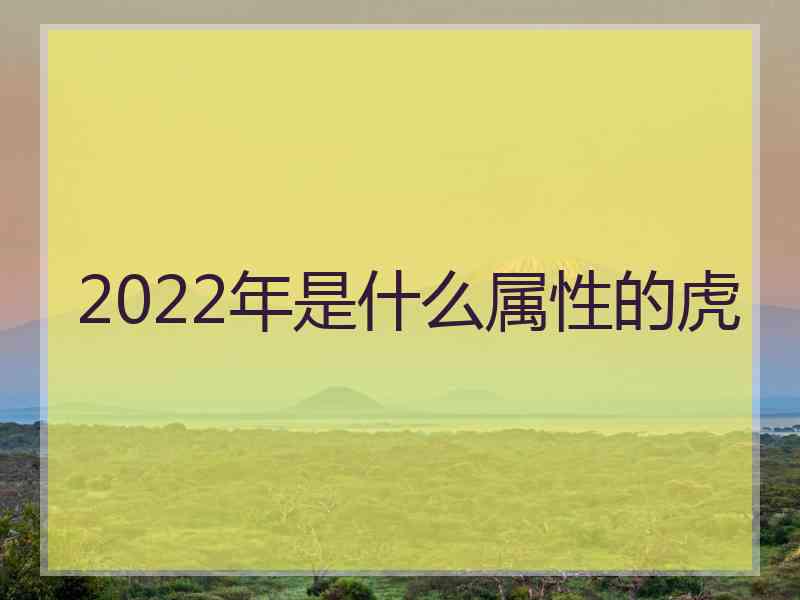 2022年是什么属性的虎