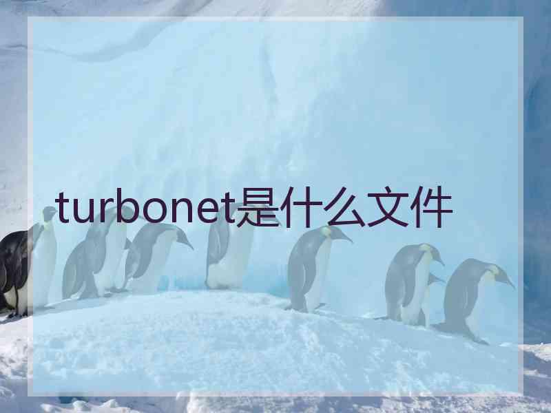 turbonet是什么文件