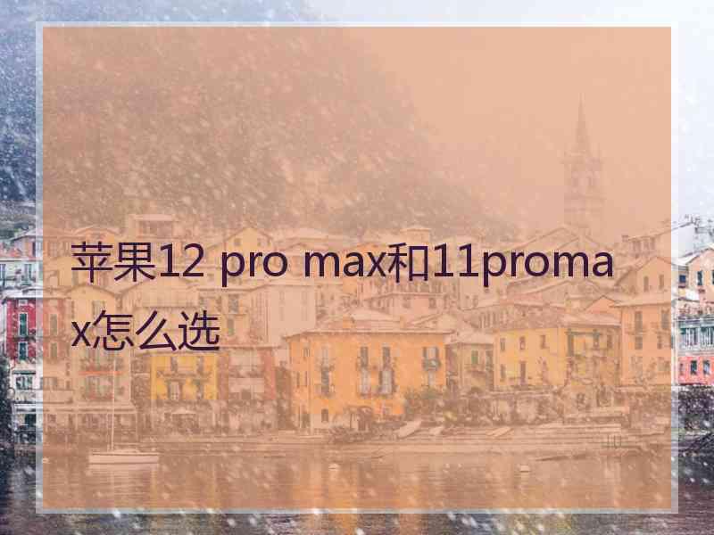 苹果12 pro max和11promax怎么选