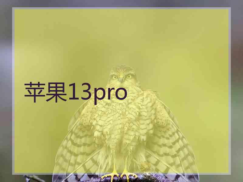 苹果13pro