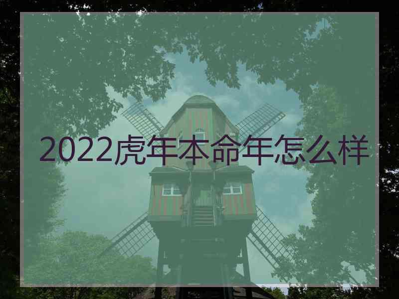 2022虎年本命年怎么样