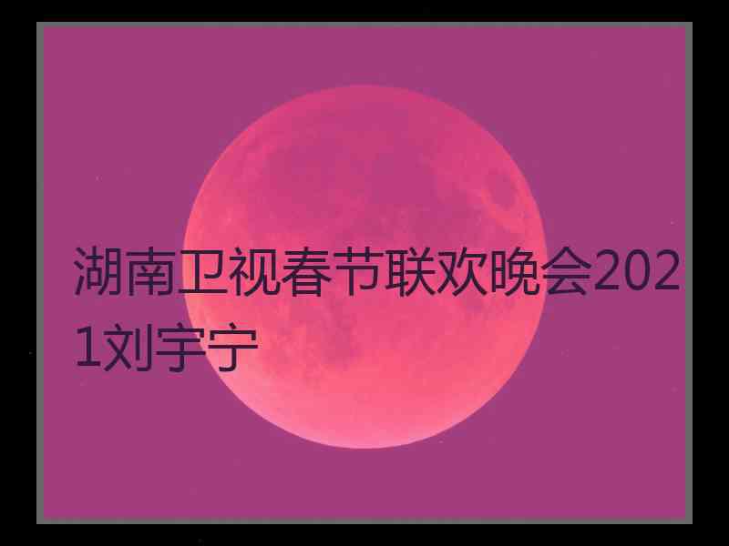 湖南卫视春节联欢晚会2021刘宇宁