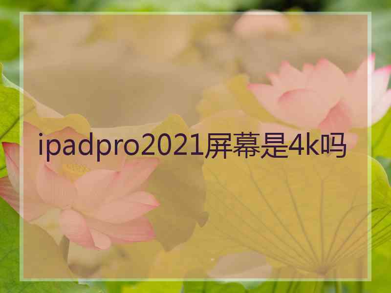 ipadpro2021屏幕是4k吗