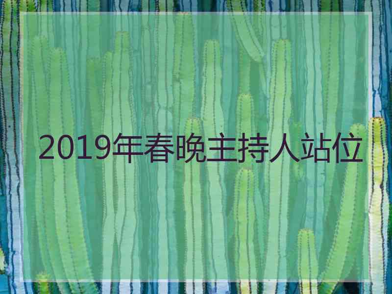 2019年春晚主持人站位