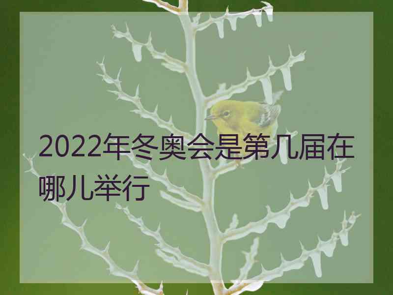 2022年冬奥会是第几届在哪儿举行