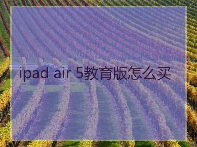 ipad air 5教育版怎么买