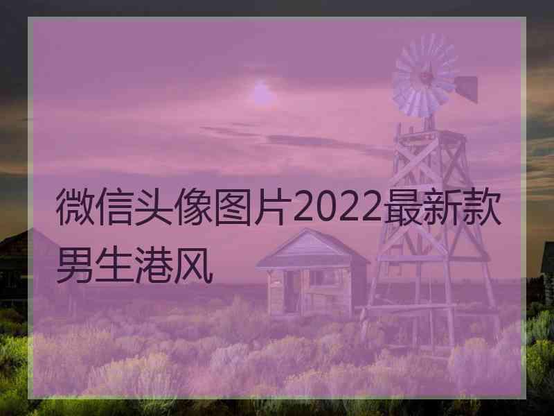 微信头像图片2022最新款男生港风