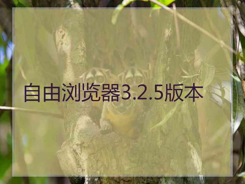 自由浏览器3.2.5版本