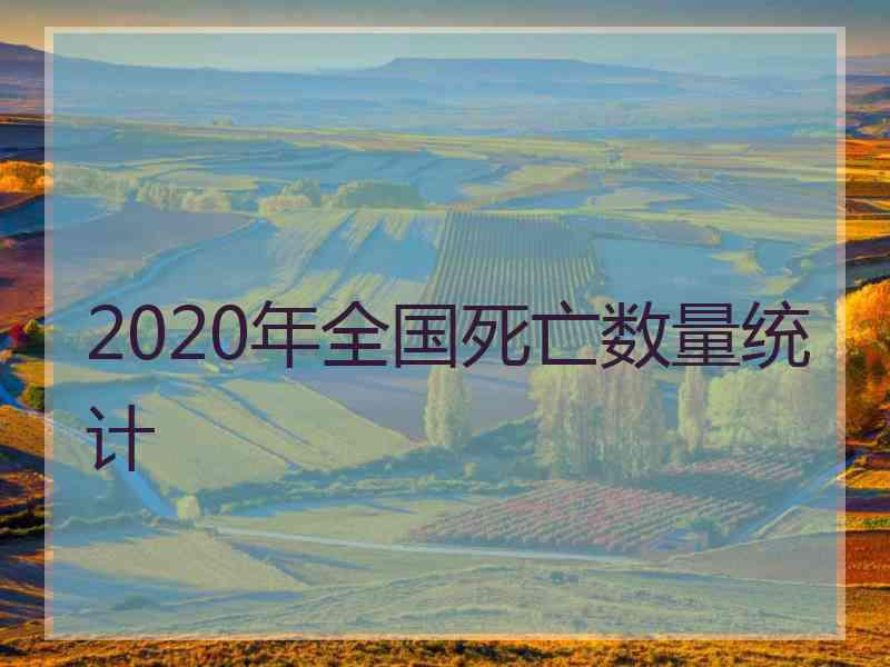 2020年全国死亡数量统计