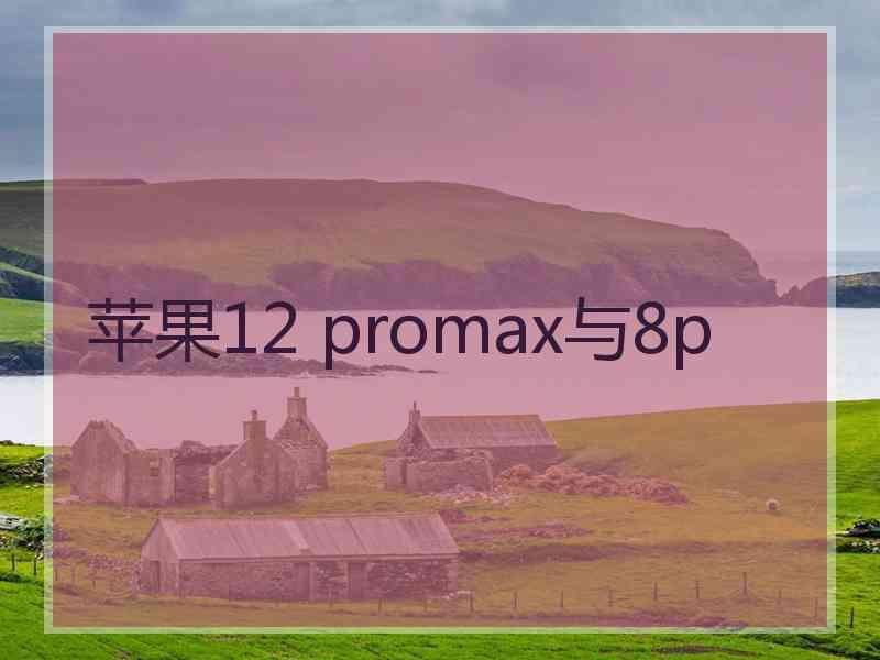 苹果12 promax与8p