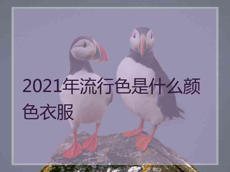 2021年流行色是什么颜色衣服