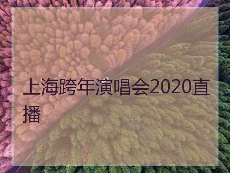 上海跨年演唱会2020直播