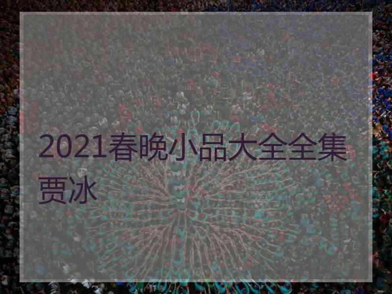 2021春晚小品大全全集贾冰