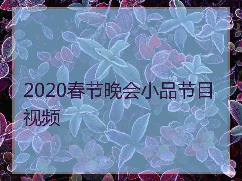 2020春节晚会小品节目视频