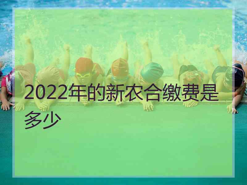 2022年的新农合缴费是多少